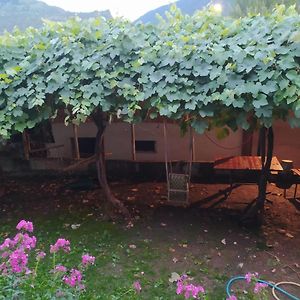 Guest House Nene